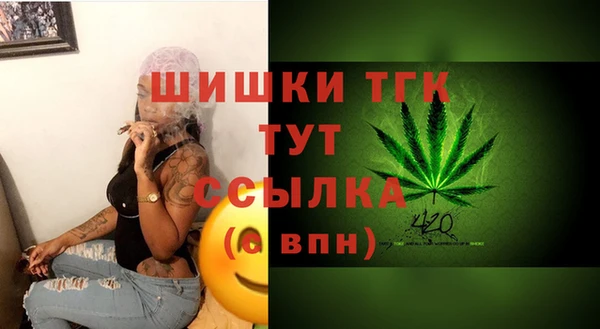 СК Богородск