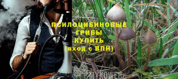 дживик Богданович