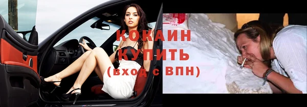 СК Богородск