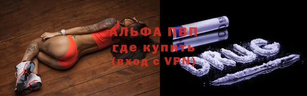 дживик Богданович