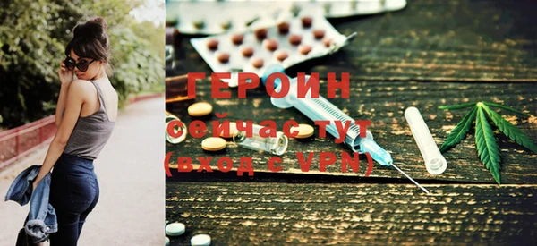 индика Туринск