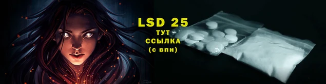 дживик Богданович