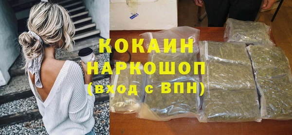 дживик Богданович