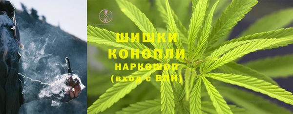 СК Богородск
