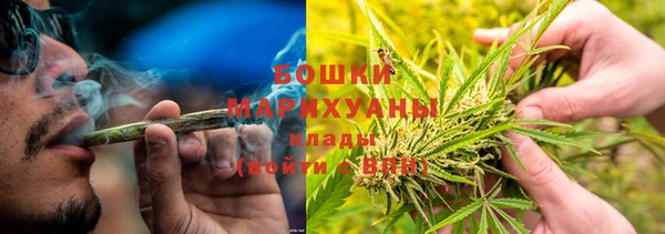 СК Богородск