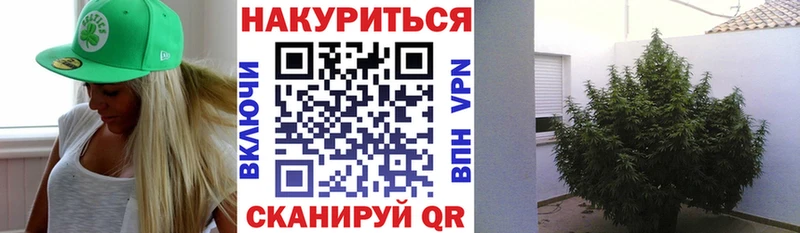 omg ССЫЛКА  Кирс  Конопля индика  цены наркотик 